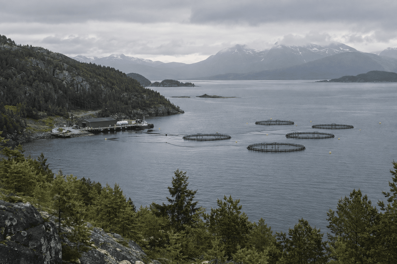 Aquaculture pens in a nordic fjord