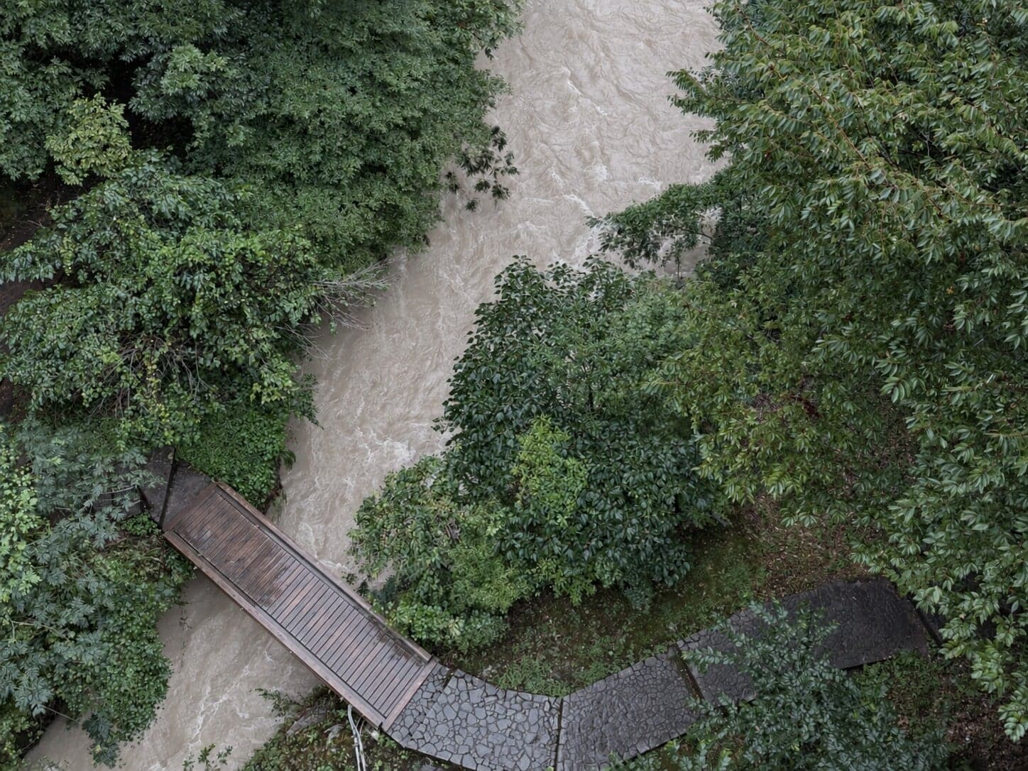River flowing in a forest, seen from above
